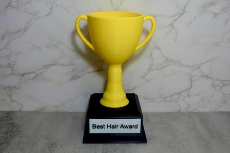 Custom Trophy