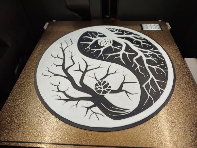 Tree in the Winter Yin Yang