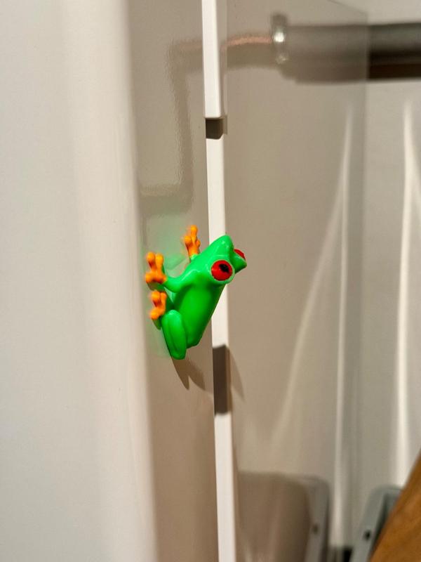 Magnetic Treefrog (Multicolor)
