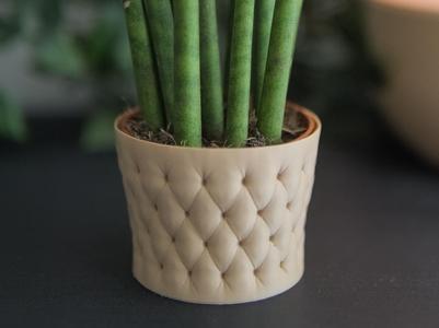 Inflated Planter (Vase Mode) - Succulents 
