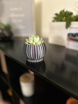 Pumpkin Plant Pot with Saucer