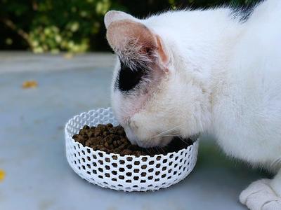 Honeycomb Cat Bowl