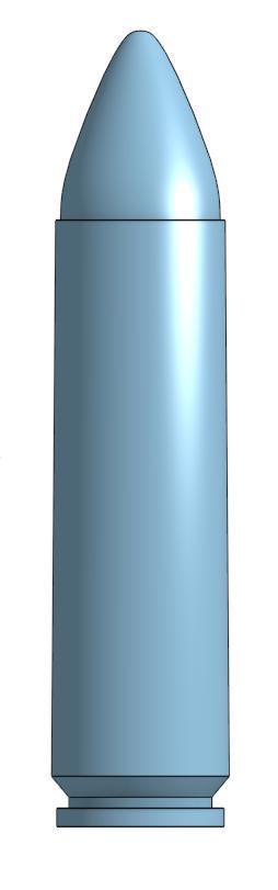 .450 Bushmaster Cartridge