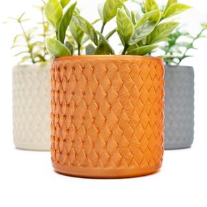 Dragon Scale Planter