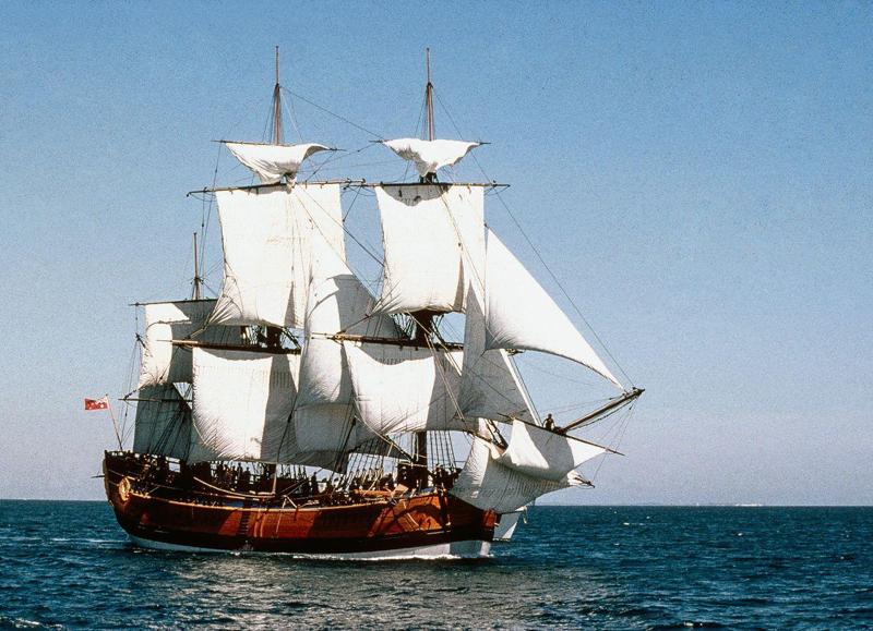 HMS Endeavour Ship (Shad0w)