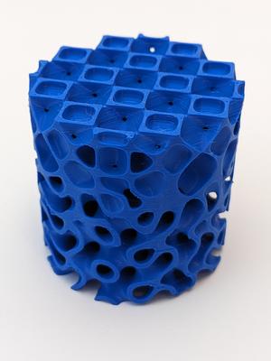 OctoSurface to Gyroid Lattice Transition Cylinder