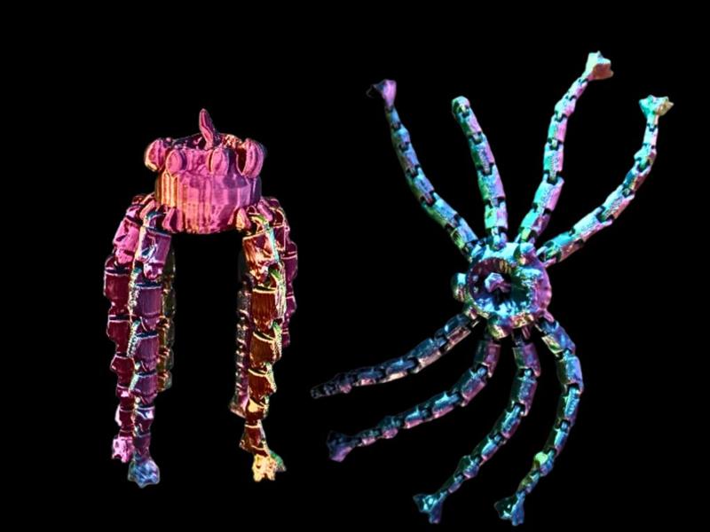Flexi Monster Spider named Daniel