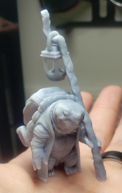 Turtle Traveller - NPC Character - 2 Poses