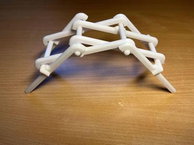 Leonardo da Vinci Bridge