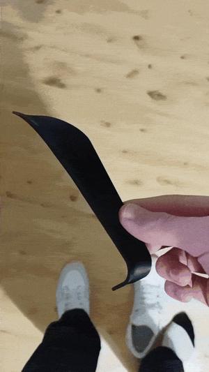 strong shoehorn