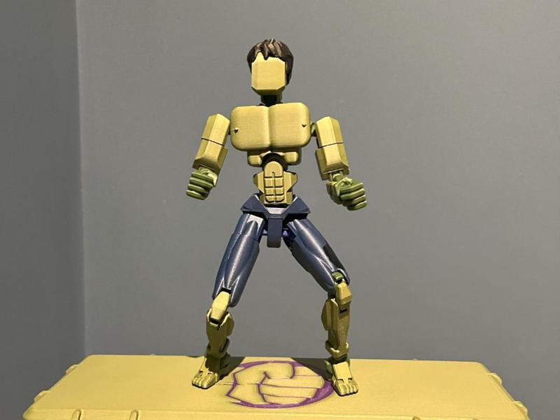 Dummy 13 - The Hulk Costume