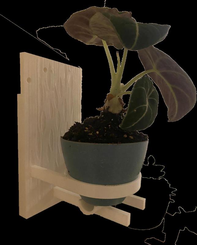 Textured Wall Plant Holder