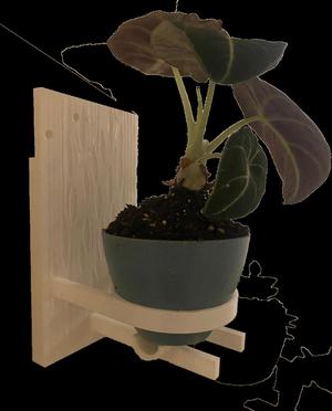 Textured Wall Plant Holder