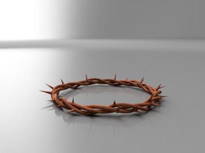 Jesus Christ Crown of Thorns
