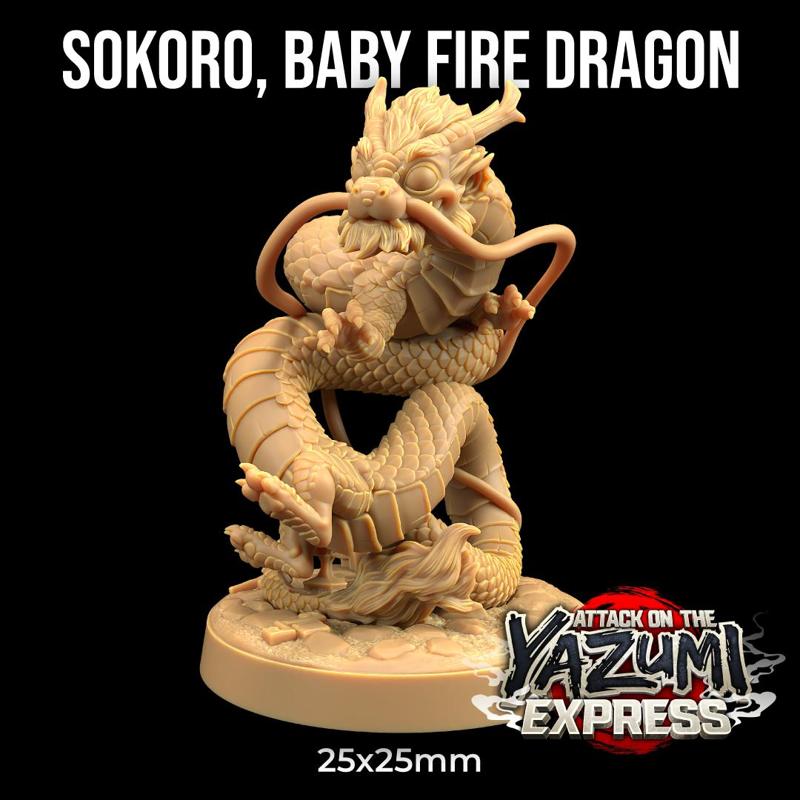 Sokoro, Baby Fire Dragon 
