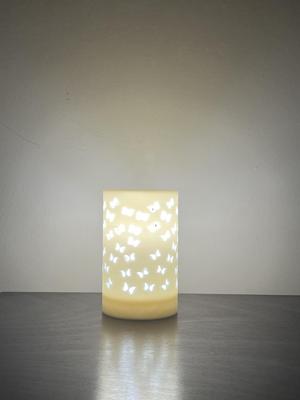 Butterfly Lamp