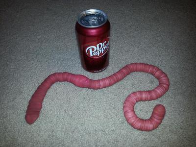 Hermie, the GIANT worm! (fully-articulated)
