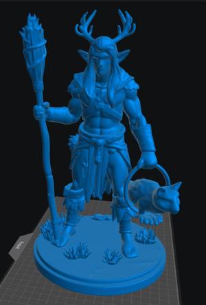 Elf Druid Male 4