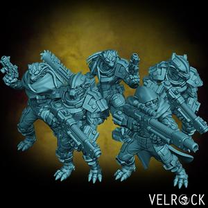 Dragonborn Trooper Squad (PRESUPPORTED)