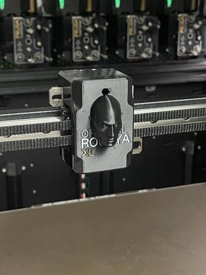 Rock Carriage Cover