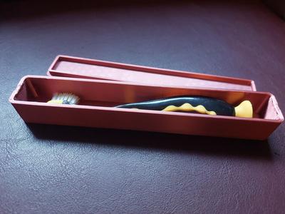 Toothbrush Travel Case