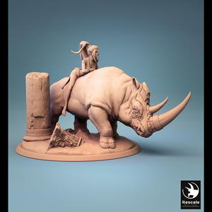 Rhinoceros mounted and unmounted