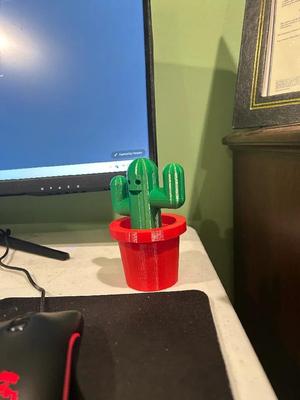 Cute Cactus   