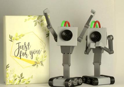 "Butterbot/Purposebot" - 3D Printable Posing Toy   