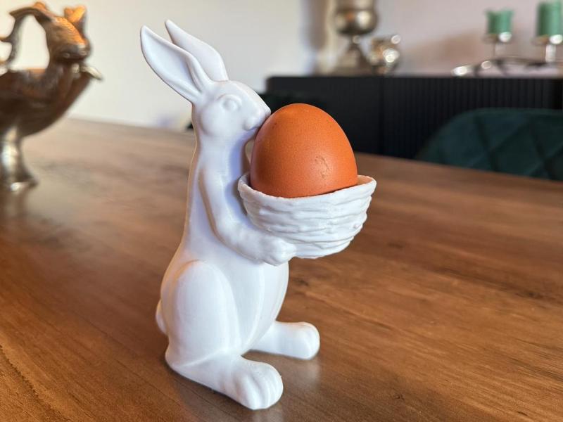 Easter Bunny with Nest