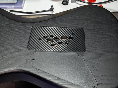 Floyd Rose Trem Cavity Cover