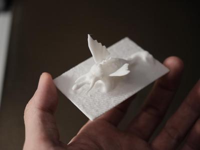 Alpha Dragon, How to train your dragon, 3D Scan