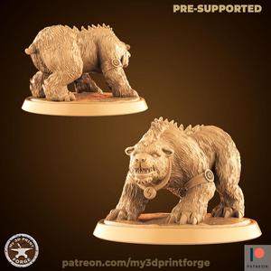 Druid Bear form