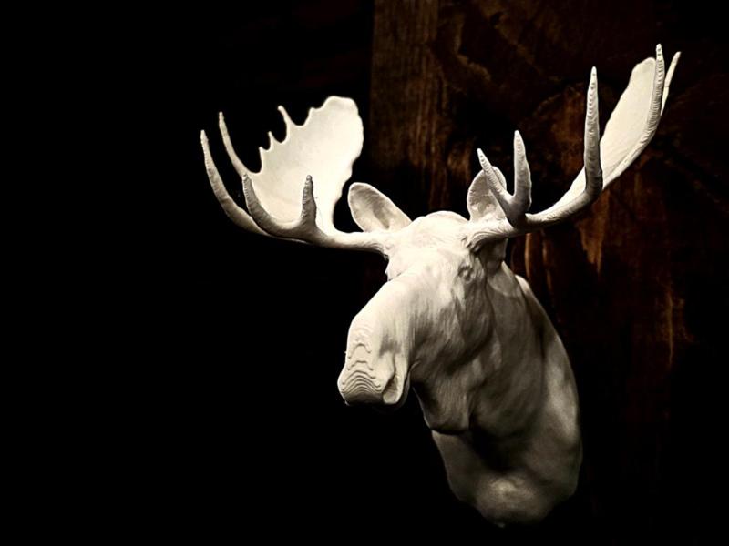 "Moose" Wall Hang Shoulder Mount