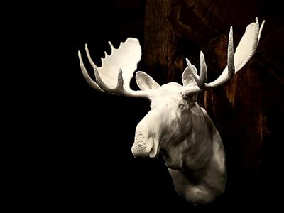 "Moose" Wall Hang Shoulder Mount