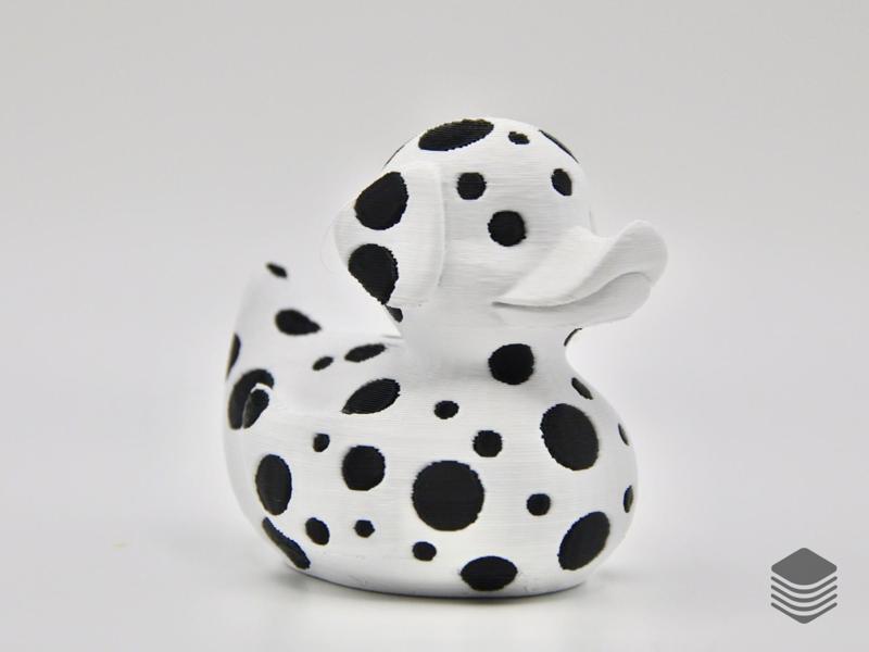 Dalmatian Duck