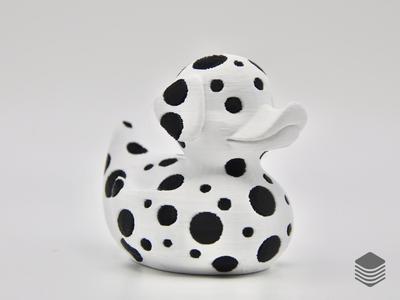 Dalmatian Duck