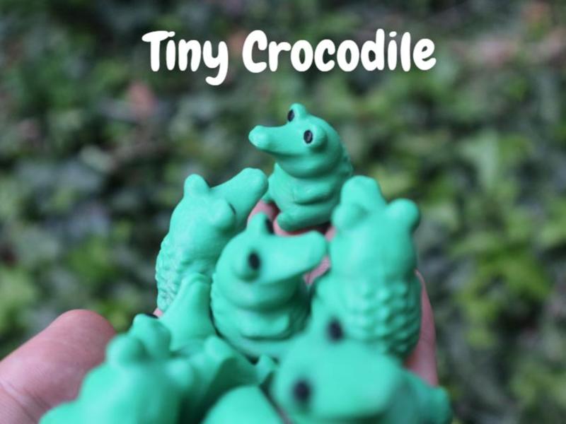 Cute Tiny Crocodile - No Support 