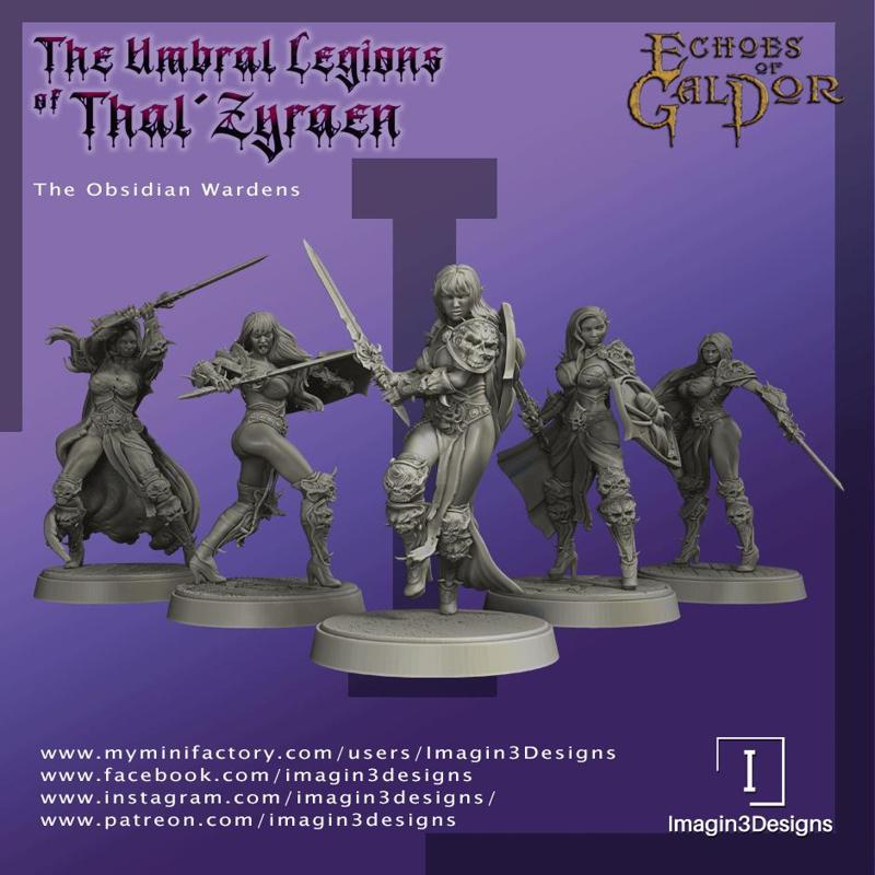 The Obsidian Wardens (Drow Elite Guard)