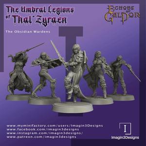 The Obsidian Wardens (Drow Elite Guard)