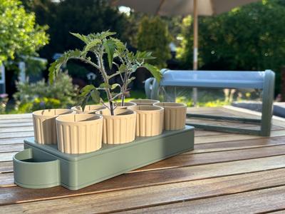 Seed Starter with Greenhouse Cover