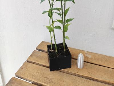 Modular Planter