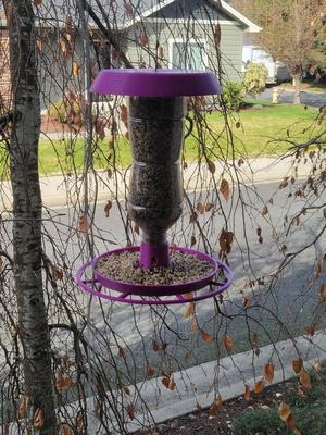 Bird feeder for PET bottle with 38mm (38-400) thread