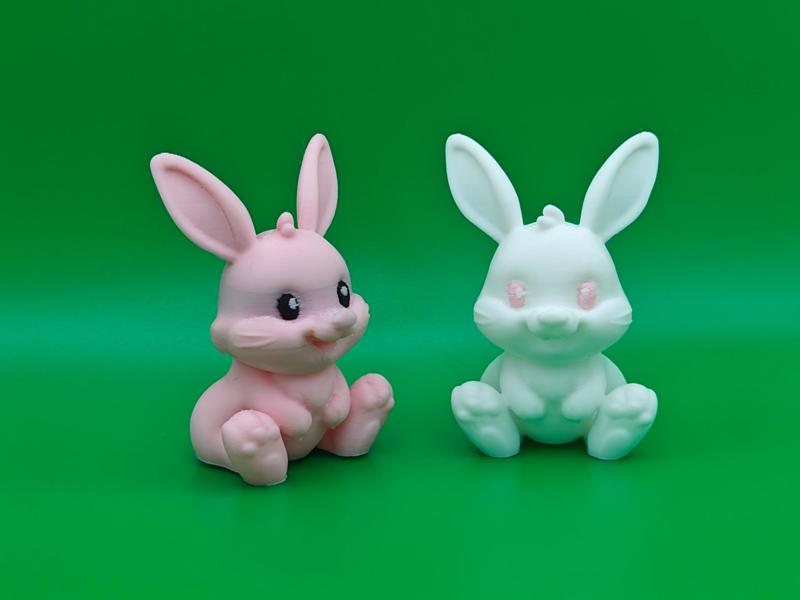 Cute Little Rabbit buddy