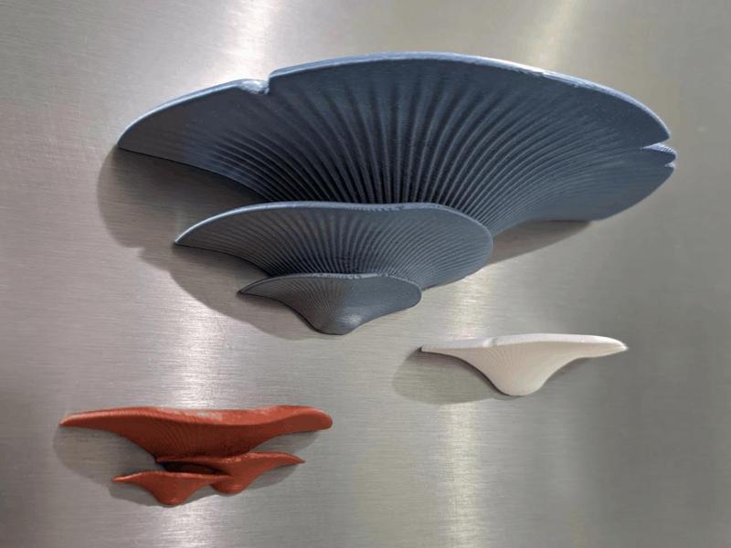 Mushroom Shelf Magnets [Multisized]