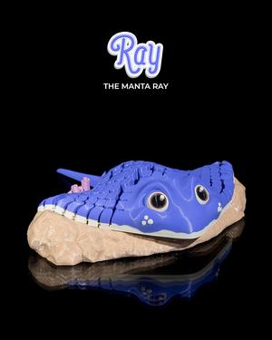 Ray, the Manta Ray