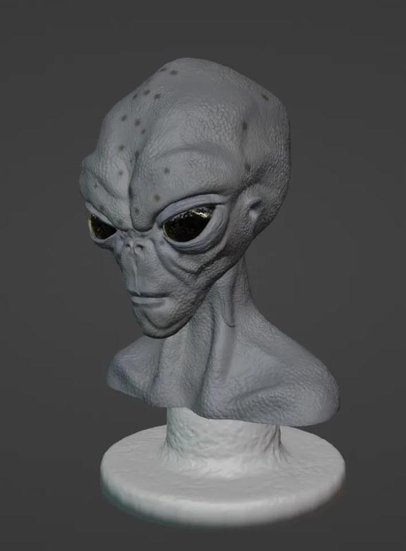 Grey Alien Bust   
