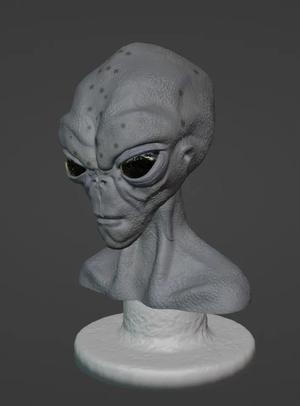 Grey Alien Bust   