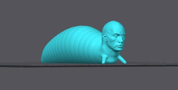 The Rock Slug + Keyring
