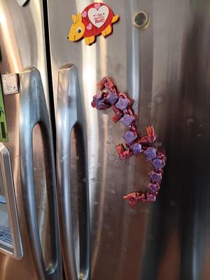 Lizard Dragon Magnet - flexi fidget toy - print in place
