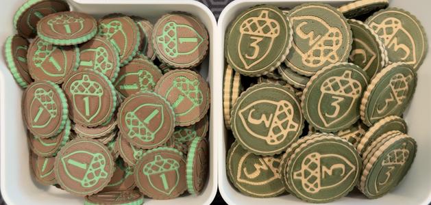 Acorn Coins